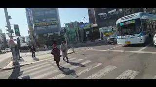 진주시청~들말대경아파트 부산교통 진주 290번 2025년 11월식 현대 일렉시티2 EV 주행영상