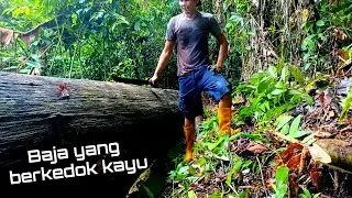 LEBIH KUAT DARIPADA BESI || KAYU ULIN ASLI KALIMANTAN