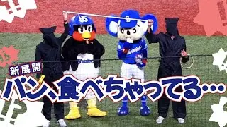 つば九郎とドアラがいつものパン食わない競争で遂にパンを食べちゃう