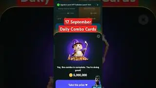 Today 17 Sept Daily Combo Card | Hamster Kombat Daily Cipher Code | hamster Combo Today 17 September
