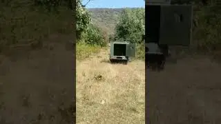sariska jungle Safari naturalist Mukesh Kumar gurjar sariska tiger reserve Tehla gate morning shift