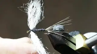 Muskegon Gray Drake Spinner (Updated)