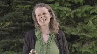 Common Sense Gardening