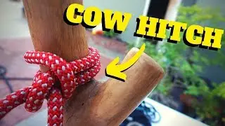 HOW TO TIE A TIMBER AND COW HITCH- Intro to Tree Climbing W/ Bino H & Noah PT.7.