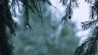 Звуки дождя для сна  Sounds of rain. #relax video, #relax music. #sleep, #сон