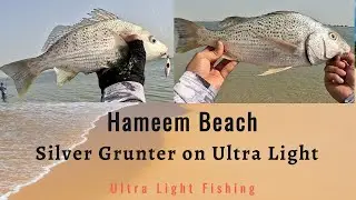 Bream on Ultra light Setup | Hameem Beach fishing #ashfaqfishing