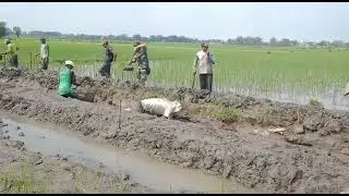 Babinsa desa baleturi  serda freno melaksanakan karbak bersama masyarakat normalisai aliran sungai.