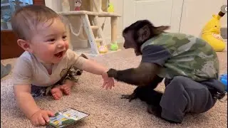 Monkey plays with baby Riley in the playroom, DON'T MISS THE HUG WITH THE BITE 🙈❤️🤭