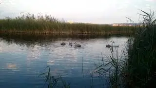 Рыбаки