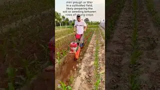 Compact Agricultural Machinery #shortsfeed #shorts