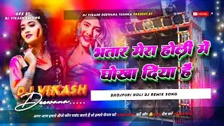 Bhatar Mera Holi Mein Dhokha Diya Hai Dj Remix | Holi Dj Remix Hard Dholki Mix | Dj Vikash Deewana