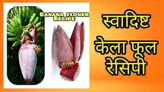 Kele ke Phul ki Sabzi ( Mocha )