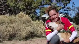 Help Us Build a Dog Sanctuary