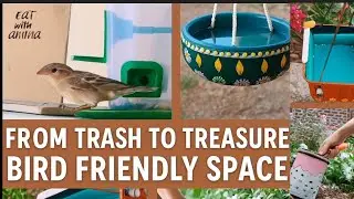 I Turned Waste Into a Beautiful Bird Heaven | Easy Budget Garden Decoration Ideas
