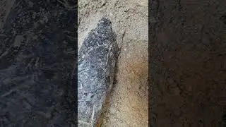VLF test . cable failure sound