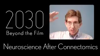 Connectomics is Revolutionizing Neuroscience - Could We Scan a Full Mouse Brain in 10 Years?