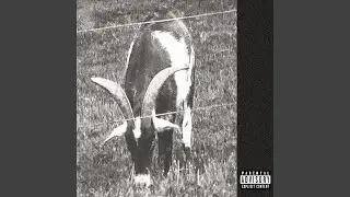 Goathead