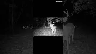 The tank of the property RIP The 22 point buck