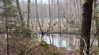 Piosenka 