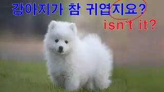 Korean Grammar 48: ~(이)지요?  The expression is to obtain the listener’s consent or confirmation