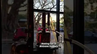 Making Gin at a Distillery