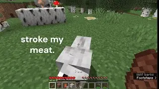 [WR] Forcing Bi*ch to Stroke my Co*k Meat Minecraft Speedrun