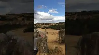 Pinnacles & Lobster Shack Day Tours from Perth