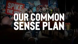 Our common sense plan