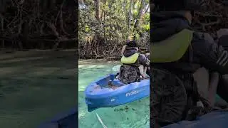 Weeki Wachee Spring 