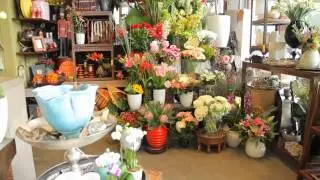 Divine Flowers Brisbane, Luxury Online Florist About us  and Our store