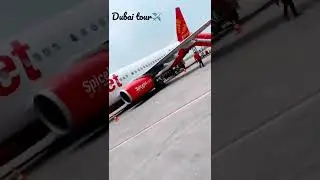 DUBAI TOUR  #dubai  #spicejet #short #airlines #burajkhalifa #shots #