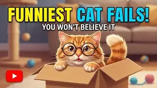 Mama Cat Takes Her Ginger Kitten on a Bowling Alley Adventure 🐾🎳 | Cute Cats Daily