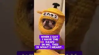 #memes #memesdaily #funny #memestiktok Neko Random