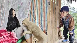 The boy, VOI, released the dog where the girl was lying, causing her to panic