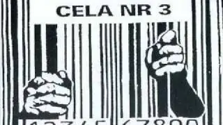Cela Nr 3 - Piwo