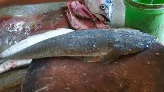 Amazing kukkad fish cutting | fish cutting skills 