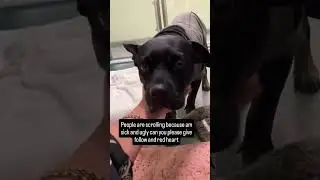 Please every follow save life🙏#canada #pets #germany #puppy #london #uk #love #usa #love #dog #cute