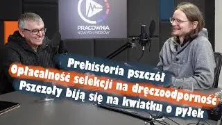 Prehistoria pszczół, opłacalność selekcji na dręczoodporność, pszczoły biją się na kwiatku o pyłek
