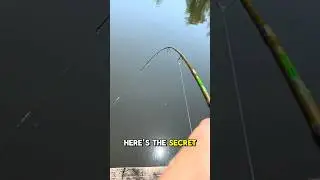 Как ловить рыбу, когда она НЕ клюет! 🎣🐟😡 #шорты #рыбалка