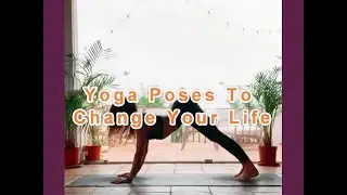 15 Yoga Poses To Change Your Life