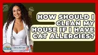 How Should I Clean My House If I Have Cat Allergies? - Ask A Pet Vet