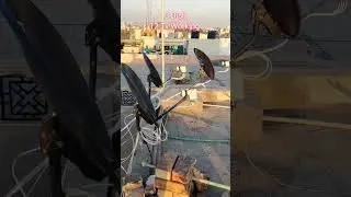 #dishtv  Ek dish tv Se 4 tv working
