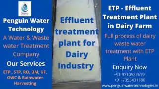 ETP Effluent treatment plant for dairy industry | Dairy wastewater treatment, Dairy waste management