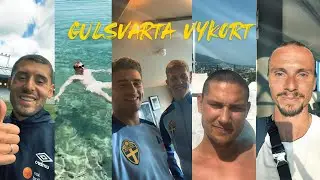 Gulsvarta vykort - vad händer under uppehållet?