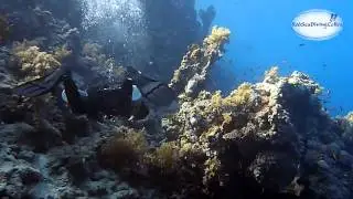 OPENWATER SIDEMOUNT SCUBA DIVING IN SHARM EL SHEIK. EGYPT