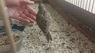 утренние процедуры💦🐥