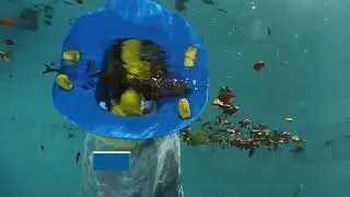 Pool Blaster Leaf Vac