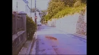 The Slow Sliders - Lesneu