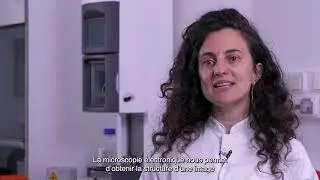 CRYO Electro-Microscopie : la nouvelle technologie d’imagerie