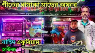 নাহিদ aquarium fish shop in Khulna রঙ্গিন মাছের দোকান aquarium fish price খুলনা ফুল মার্কেট #foryou 